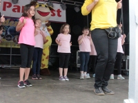 Familientag Parkfest Ludwigshafen 2018 (14)