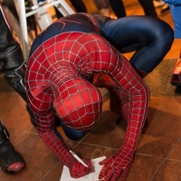 Avengers live Kinderfest Heidelberg 2016 (59)