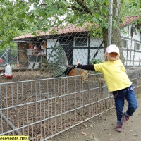 jugendfarm-pfingstweide-kinder-abenteuer-spielplatz-ludwigshafen-16