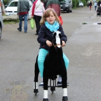 Animal Riding Maimarkt Mannheim 2015 (29).JPG