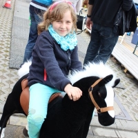 Animal Riding Maimarkt Mannheim 2015 (32).JPG