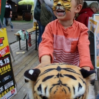 Animal Riding facepainting Mannheim (1).JPG