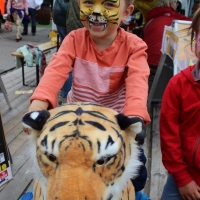 Animal Riding facepainting Mannheim (2).JPG