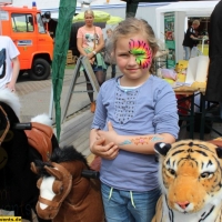 Kinderschminken Maimarkt Mannheim 2015 (10).JPG