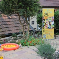 familienfest-bad-duerkheim-19062014-27