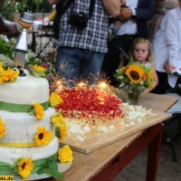 Hochzeit Grenzhof Hotel HD-30072016 (35)