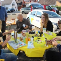 Klimaschutzagentur Mannheim Sept 2016 (10)