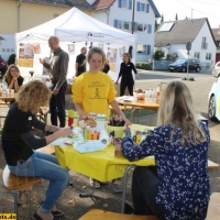 Klimaschutzagentur Mannheim Sept 2016 (7)