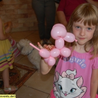 ballon-kuenstler-buchen-1-jpg