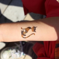maimarkt-mannheim-kinderschminken-raffini-maskottchen-glitzer-tattoos-38