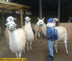 Pfalz-Lamas-Annweiler-1
