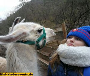 Pfalz-Lamas-Annweiler-15