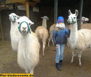 Pfalz-Lamas-Annweiler-3