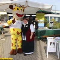 raffini-maskottchen-walk-act-rheinfalzcard-messe-ludwigshafen-3
