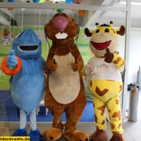 raffini-nils-nager-kai-hai-maskottchen-6