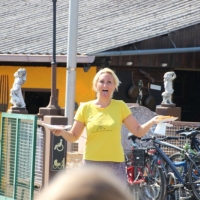 Sommerfest Gartenverein Mannheim Ost Juni 2017 (14)