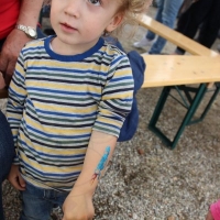 Sommerfest Gartenfreunde Mannheim Ost 2015 (67).JPG