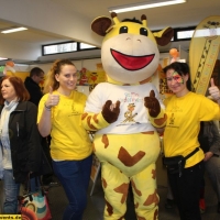 Creativ Messe Rhein-Neckar, Ludwigshafen 2015 (32)