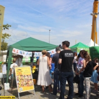 Wirsol Arena Sinsheim Kinderschminken, Glitzer Tattoos (26).JPG