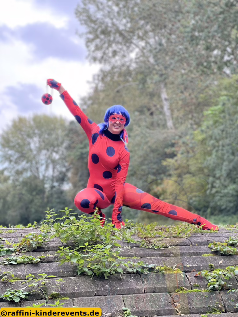 Lady Bug Miraculous buchen