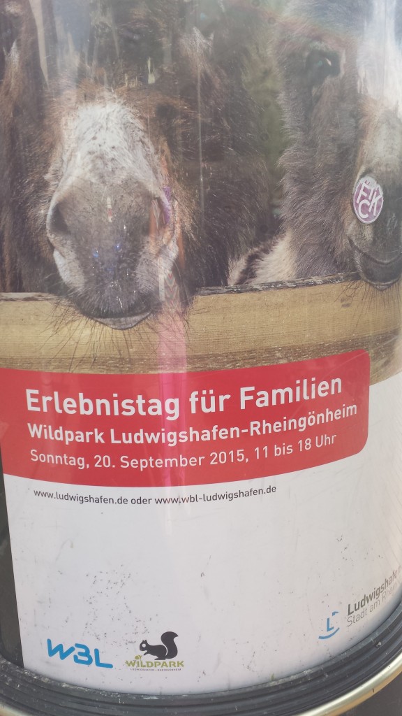 Familien Erlebnistag Rheingoenheim